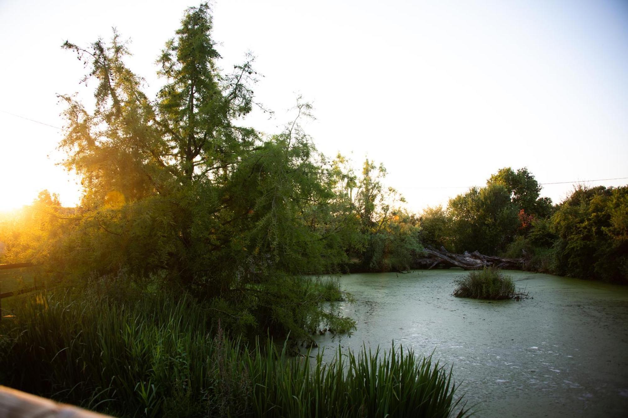 Domaine De La Briouse Bed and Breakfast Sanxay Εξωτερικό φωτογραφία
