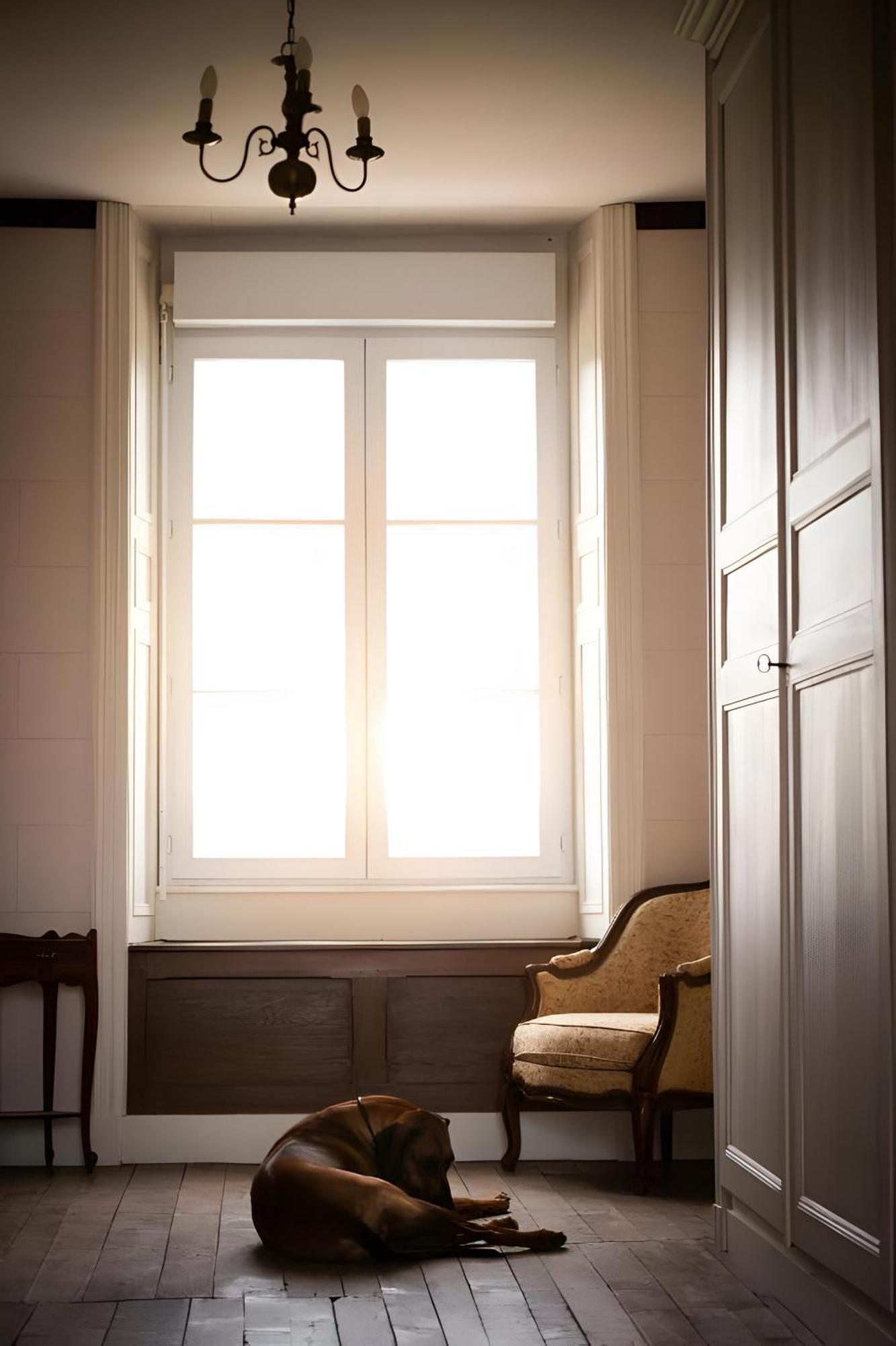 Domaine De La Briouse Bed and Breakfast Sanxay Εξωτερικό φωτογραφία