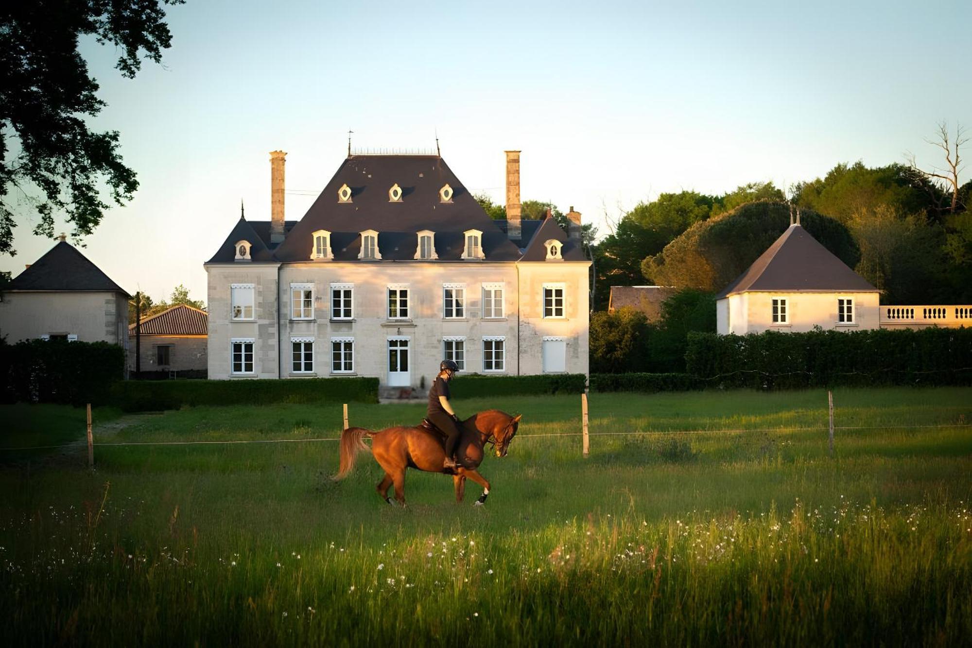 Domaine De La Briouse Bed and Breakfast Sanxay Εξωτερικό φωτογραφία